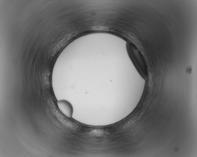 X0000115300441200911301517