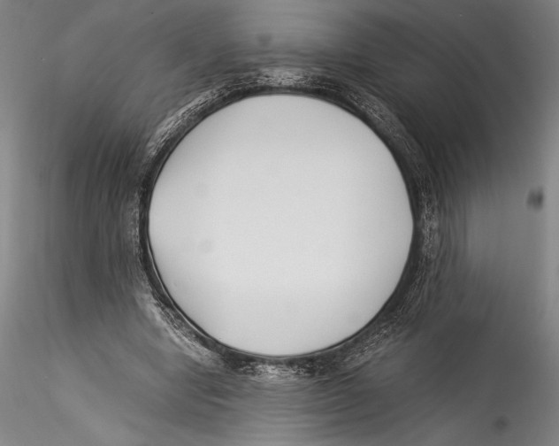 X0000115300442200911301517