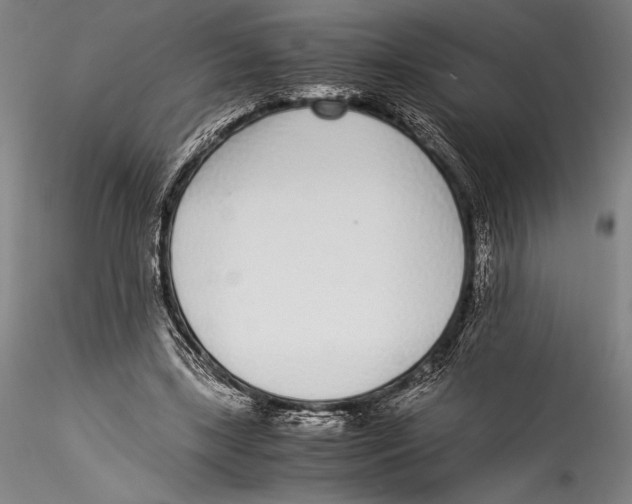 X0000115300443200911301517