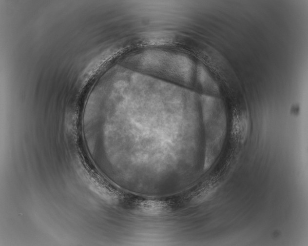 X0000115300444200911301517