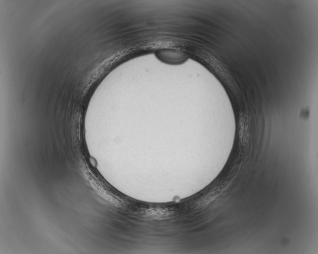 X0000115300445200911301517