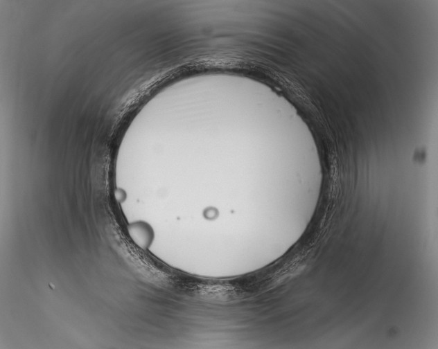 X0000115300446200911301517