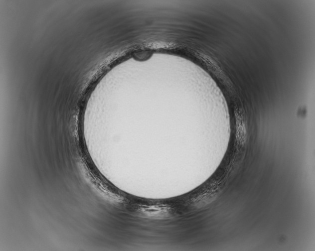 X0000115300447200911301517