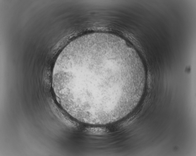 X0000115300449200911301517