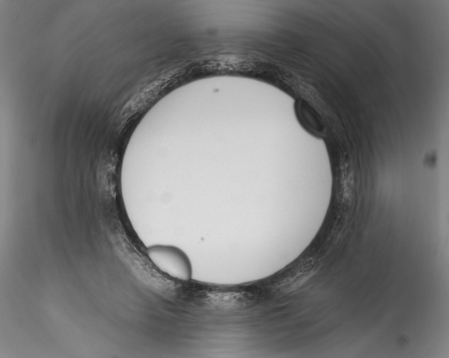 X0000115300450200911301517