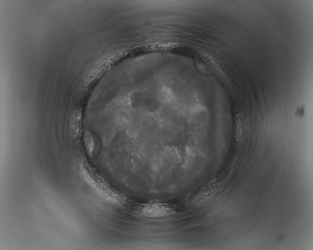 X0000115300451200911301517