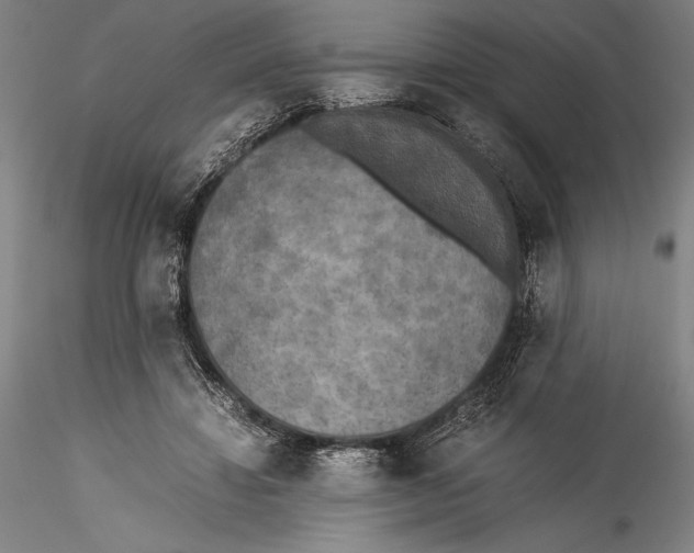 X0000115300452200911301517