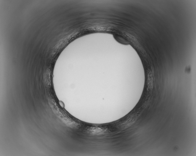 X0000115300453200911301517