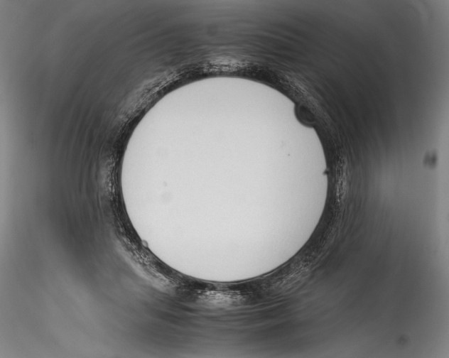 X0000115300455200911301517