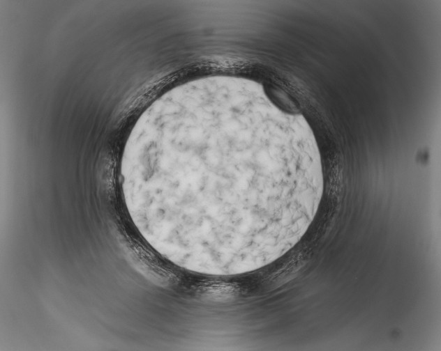 X0000115300456200911301517