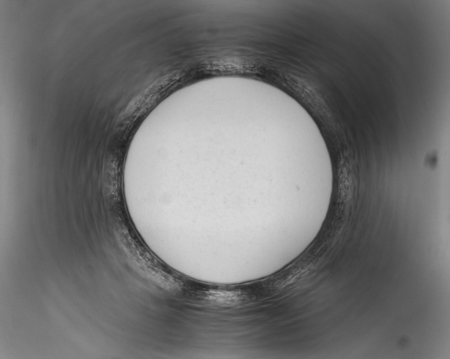 X0000115300457200911301517