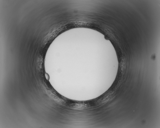 X0000115300458200911301517