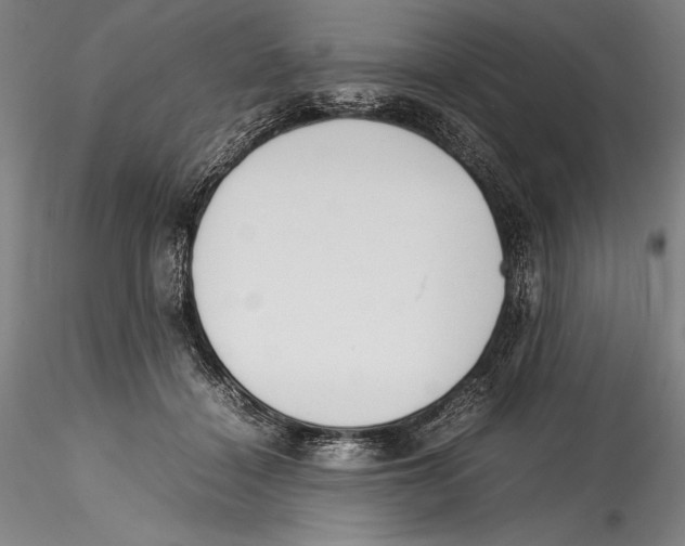 X0000115300460200911301517