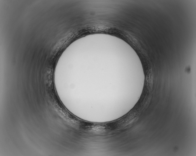 X0000115300462200911301517