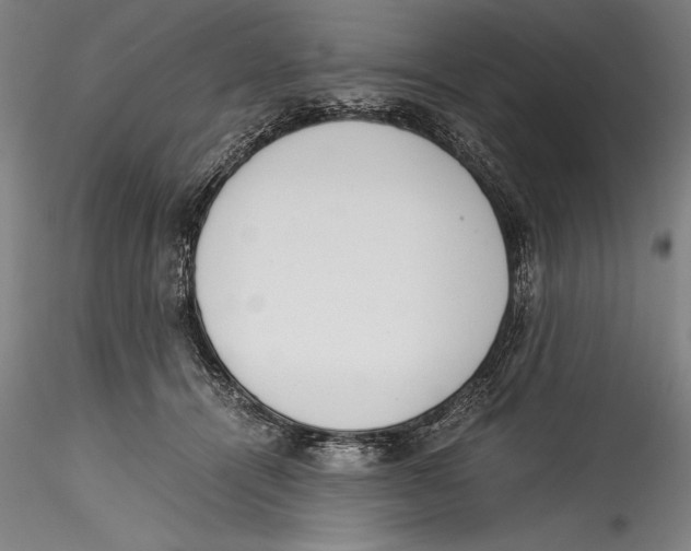 X0000115300464200911301517