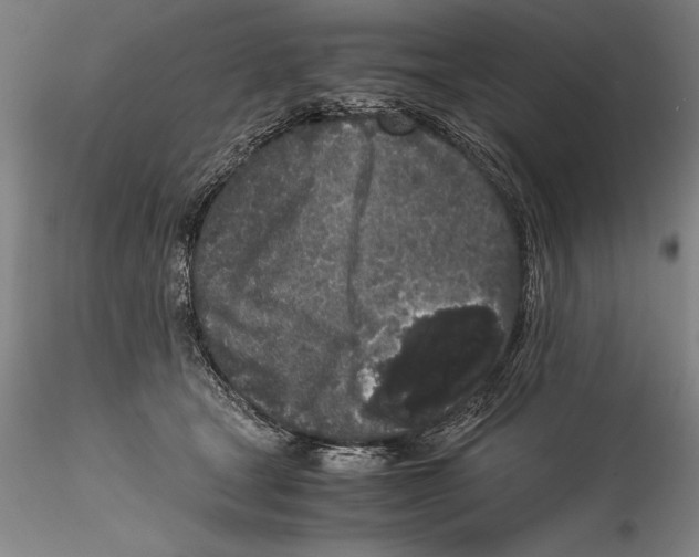 X0000115300465200911301517