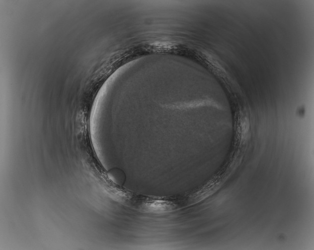 X0000115300467200911301517