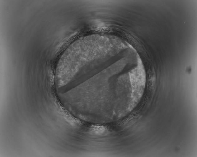 X0000115300469200911301517