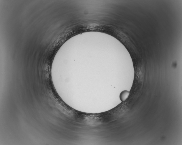 X0000115300470200911301517