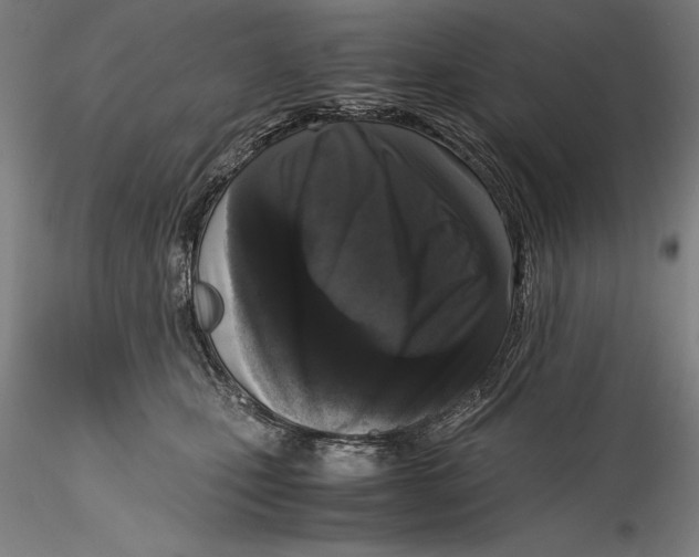 X0000115300471200911301517