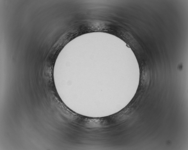 X0000115300473200911301517