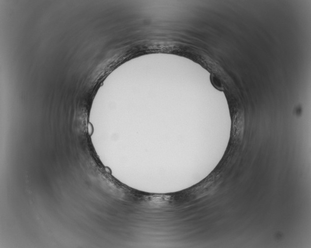 X0000115300474200911301517