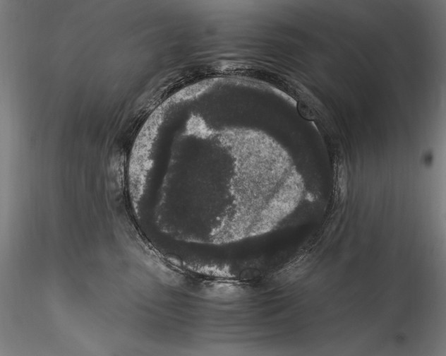 X0000115300475200911301517