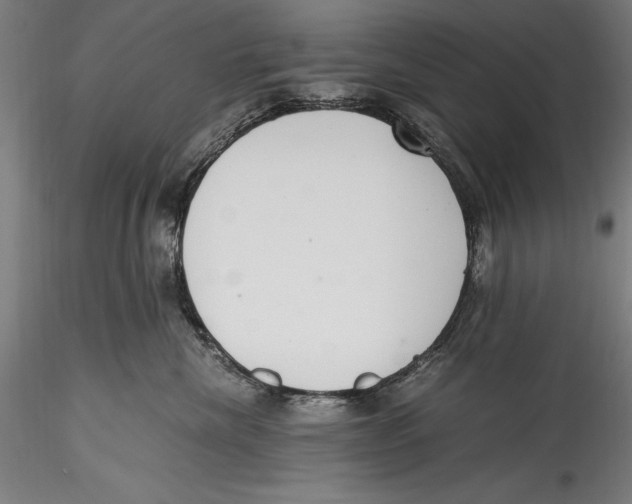 X0000115300476200911301517