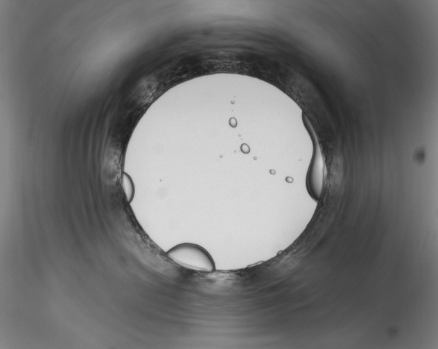 X0000115300478200911301517