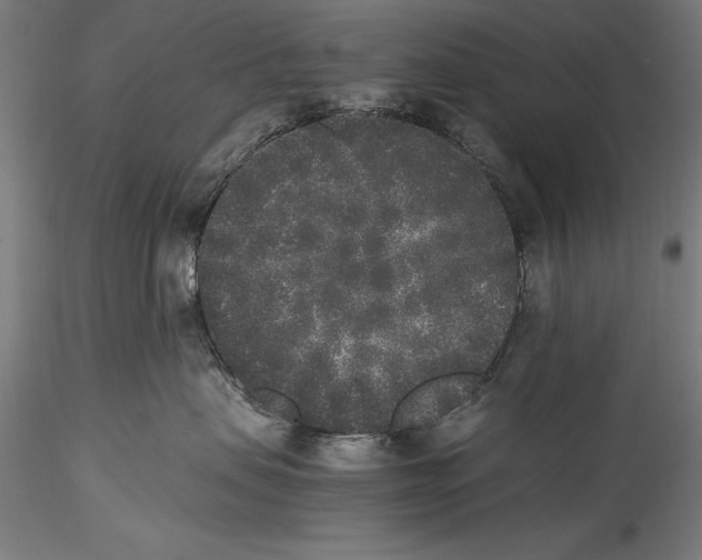 X0000115300479200911301517