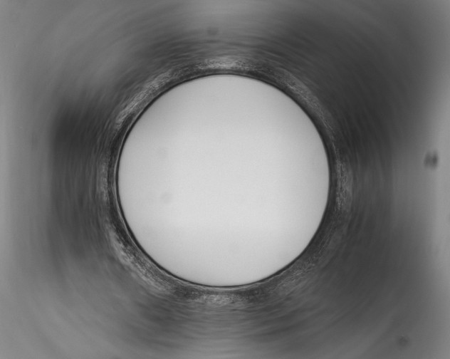 X0000115300482200911301517