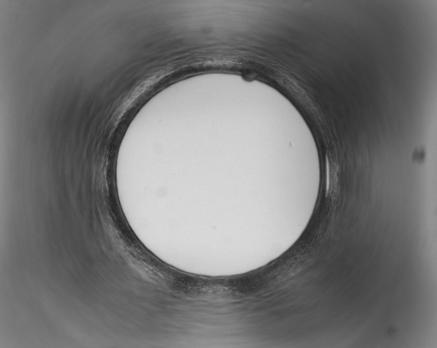 X0000115300483200911301517