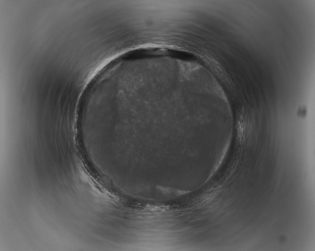 X0000115300484200911301517