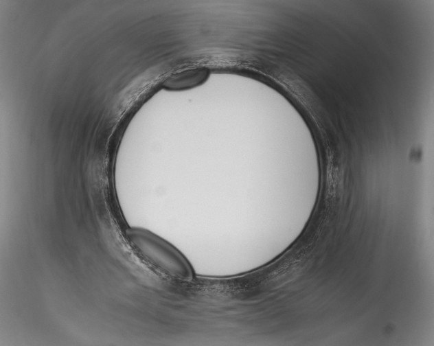 X0000115300485200911301517