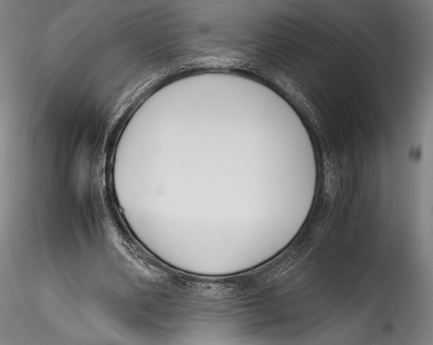 X0000115300486200911301517