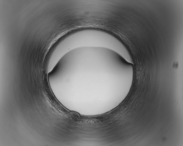 X0000115300488200911301516