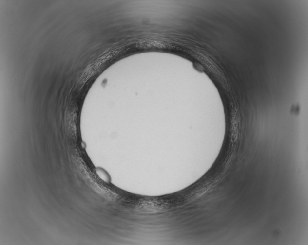 X0000115300489200911301516