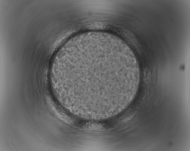 X0000115300491200911301516