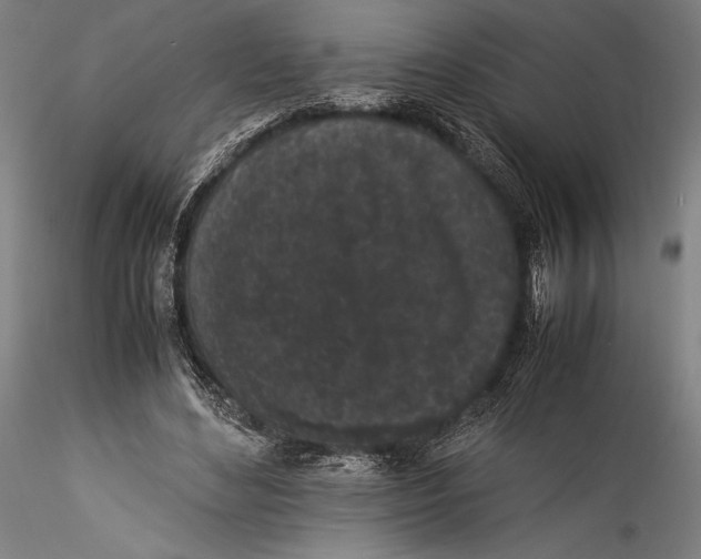 X0000115300492200911301516