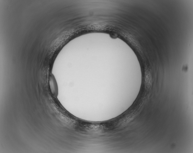 X0000115300493200911301516