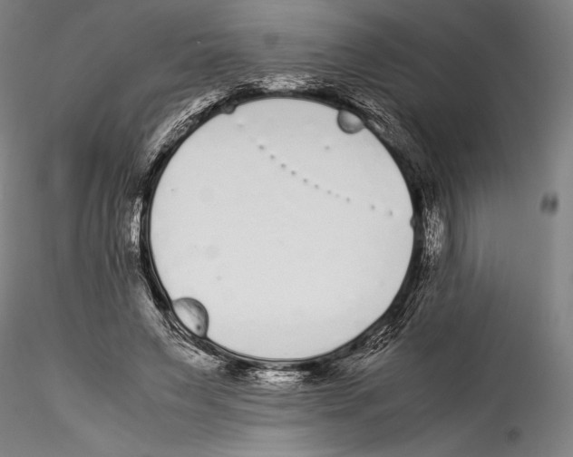 X0000115300495200911301516