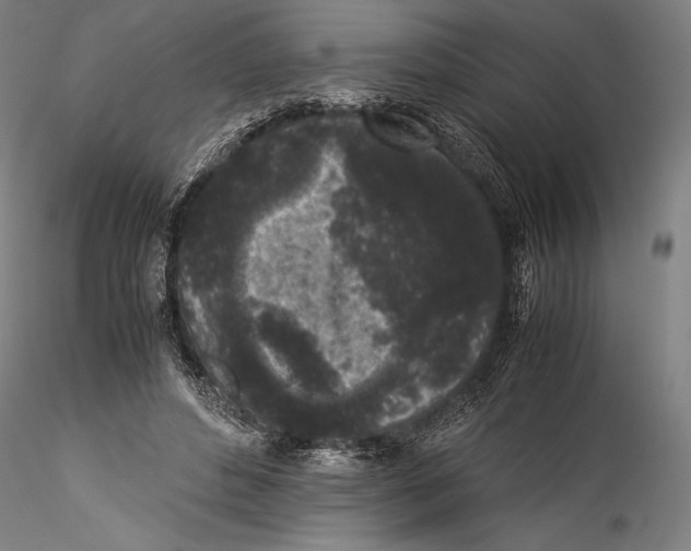 X0000115300496200911301516