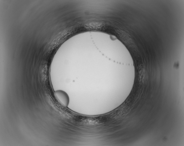 X0000115300498200911301516