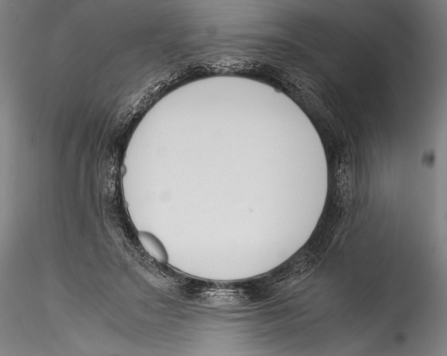 X0000115300499200911301516