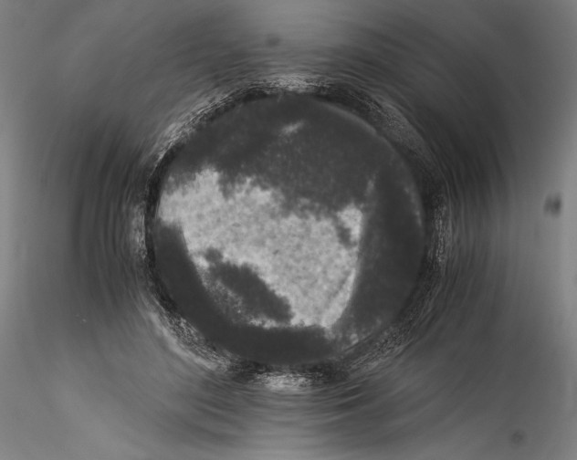 X0000115300500200911301516