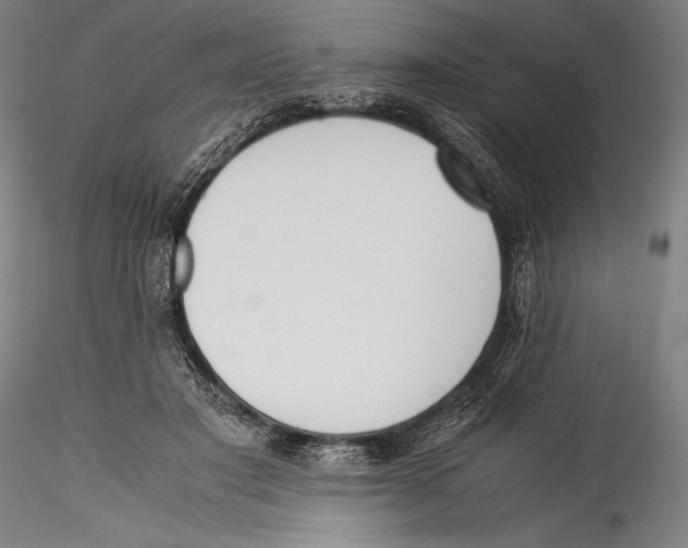 X0000115300501200911301516