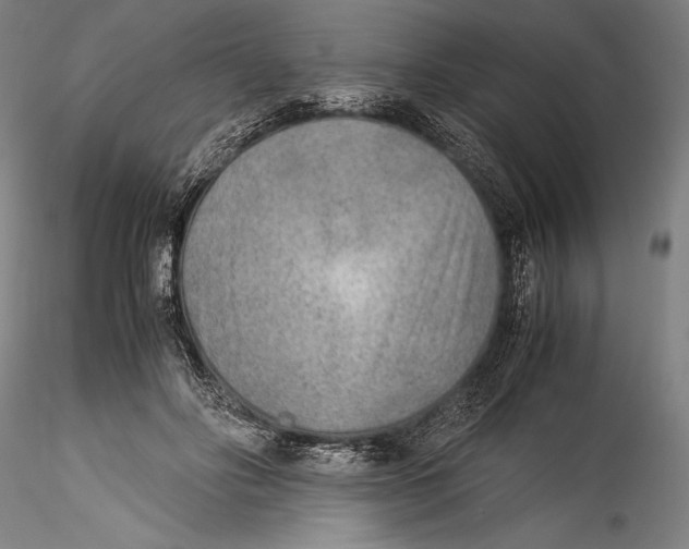 X0000115300502200911301516