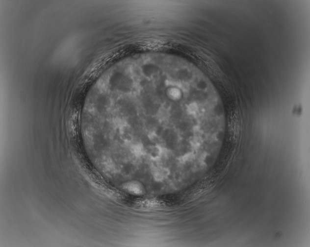 X0000115300503200911301516