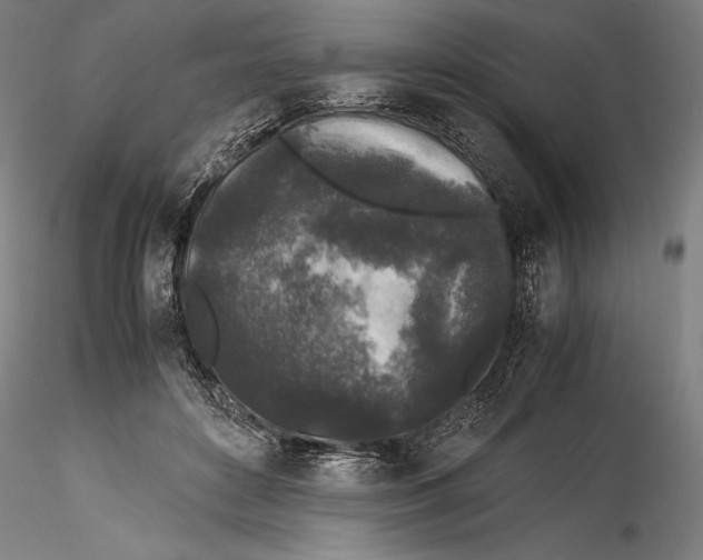 X0000115300504200911301516