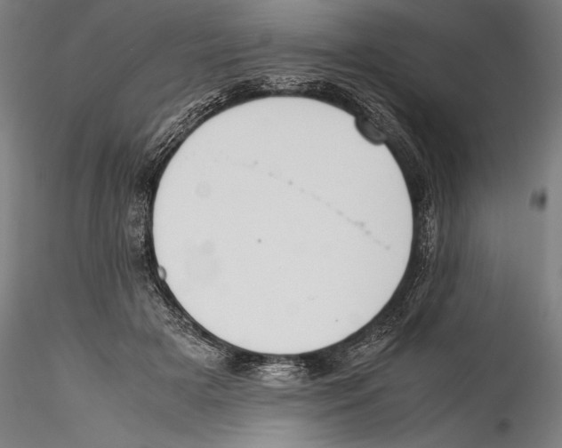 X0000115300505200911301516